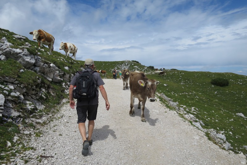 austria 2016 15 austria 2016 15